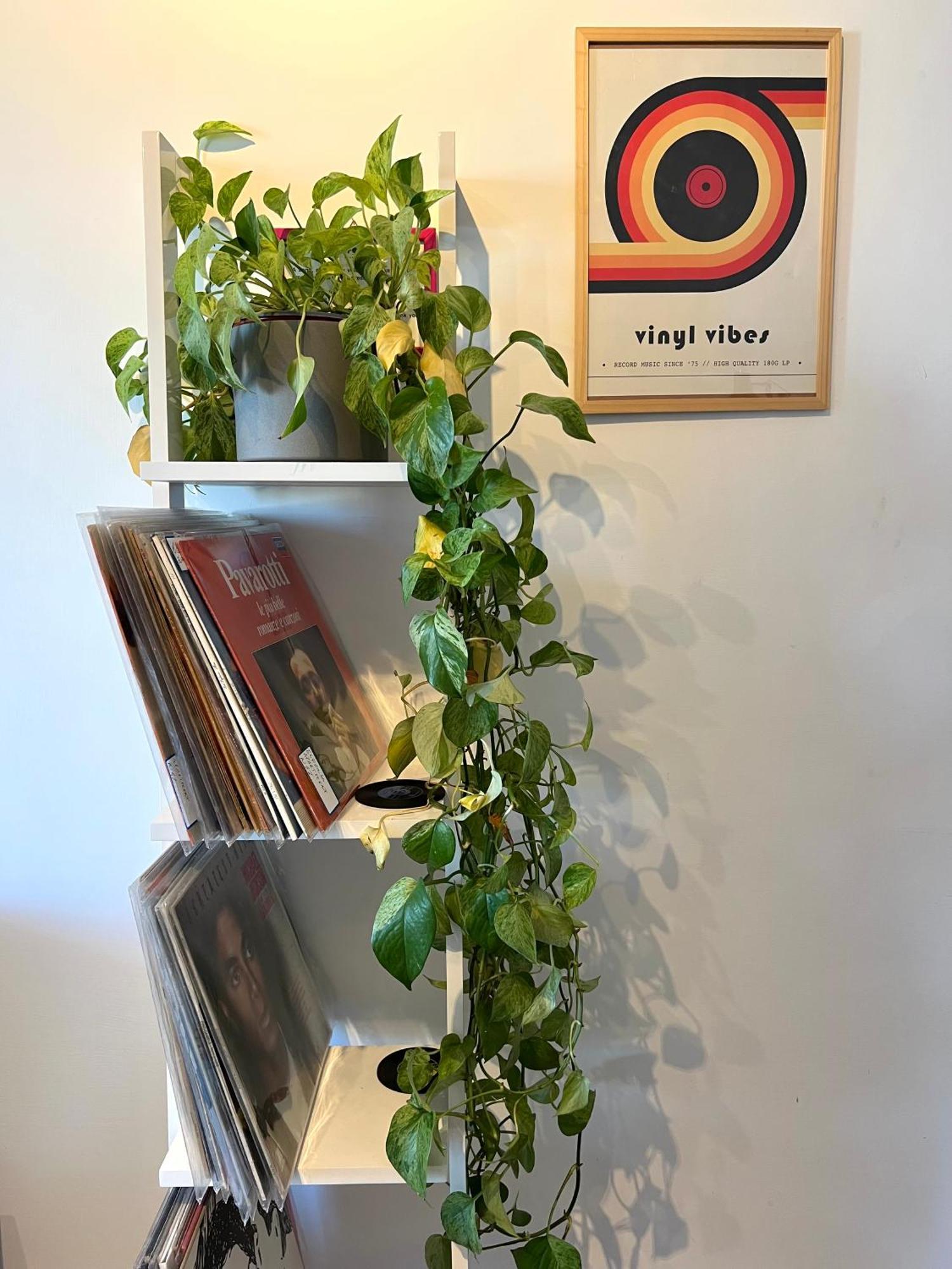 Apartment Eufonia Vinyl Friendly Rom